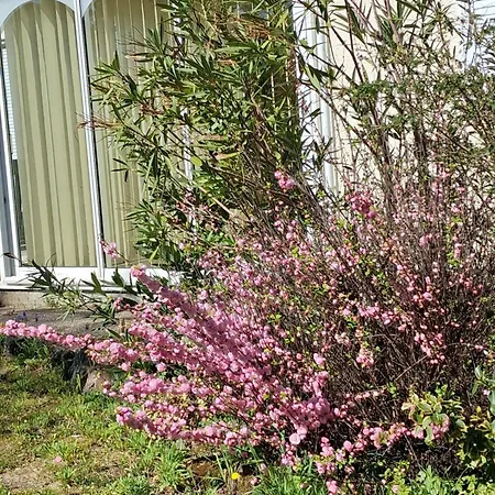 Maison Familiale 6 Pers - Orouet Сasa de vacaciones Saint-Jean-de-Monts